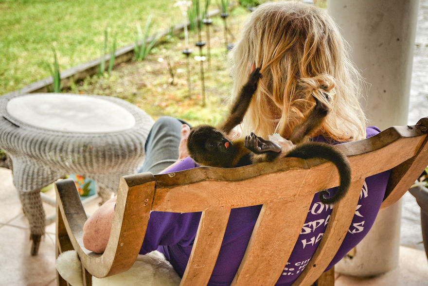This Baby Monkey Taught Me A Lesson About The Purity We Don’t See In Humans This Baby Monkey Taught Me A Lesson About The Purity We Don’t See In Humans