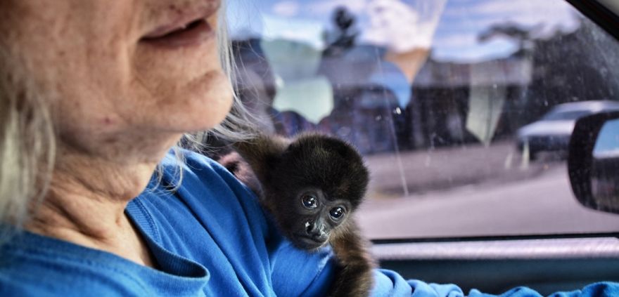 This Baby Monkey Taught Me A Lesson About The Purity We Don’t See In Humans This Baby Monkey Taught Me A Lesson About The Purity We Don’t See In Humans