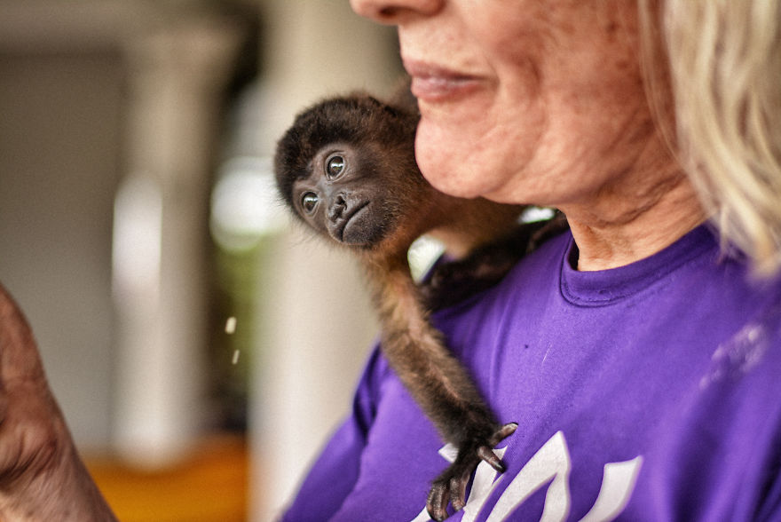This Baby Monkey Taught Me A Lesson About The Purity We Don’t See In Humans