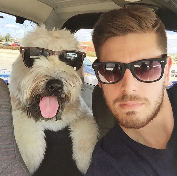 Top 5 Living Teddy Bears On Instagram