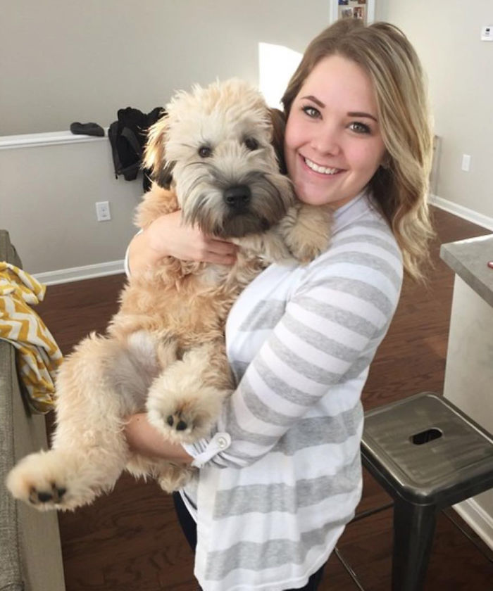 Top 5 Living Teddy Bears On Instagram