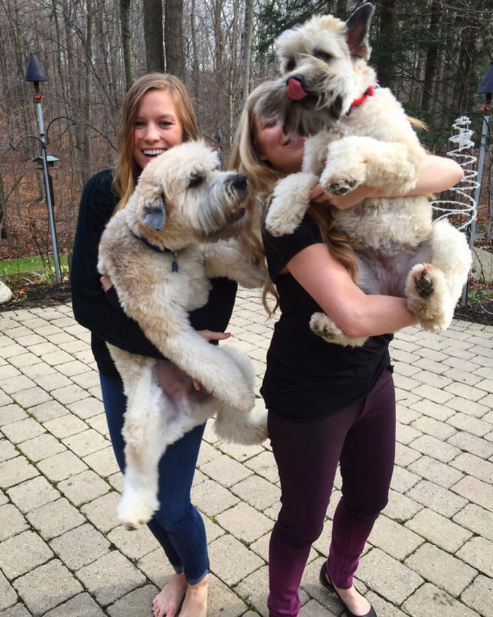 Top 5 Living Teddy Bears On Instagram