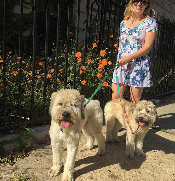 Top 5 Living Teddy Bears On Instagram