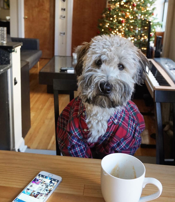 Top 5 Living Teddy Bears On Instagram