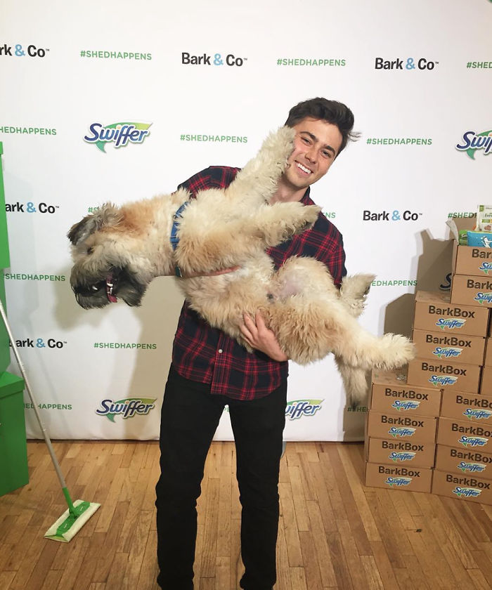 Top 5 Living Teddy Bears On Instagram Top 5 Living Teddy Bears On Instagram