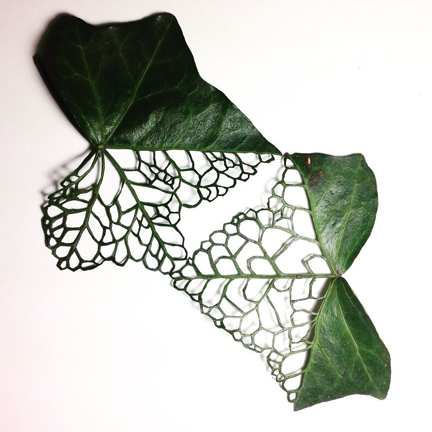 I Transform Leaves Into Art With Embroidery