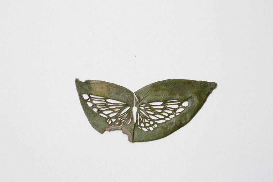 I Transform Leaves Into Art With Embroidery