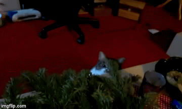 "this Is No Tree, Minion! I Disapprove!" *smack*