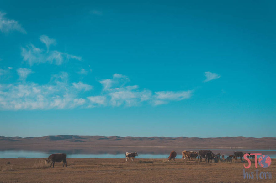 We Decided To See What The Mongolian Nomads' Life Look Like We Decided To See What The Mongolian Nomads' Life Look Like