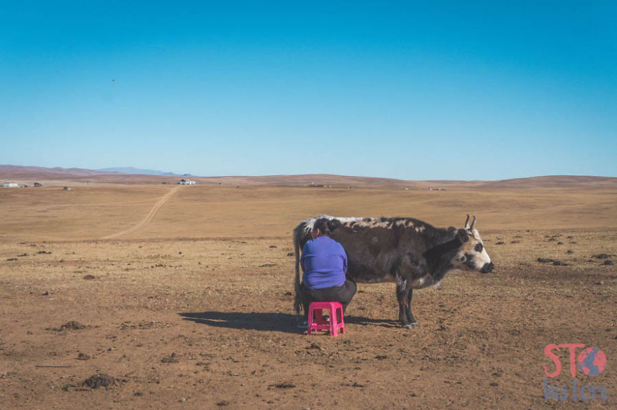 We Decided To See What The Mongolian Nomads' Life Look Like We Decided To See What The Mongolian Nomads' Life Look Like