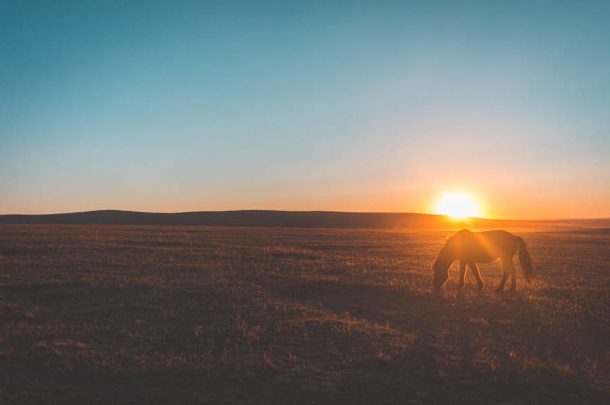 We Decided To See What The Mongolian Nomads' Life Look Like