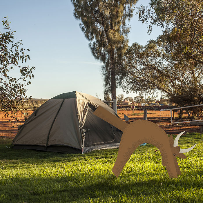 We Illustrate Cute Animals Doing Yoga To Inspire Children And Adults