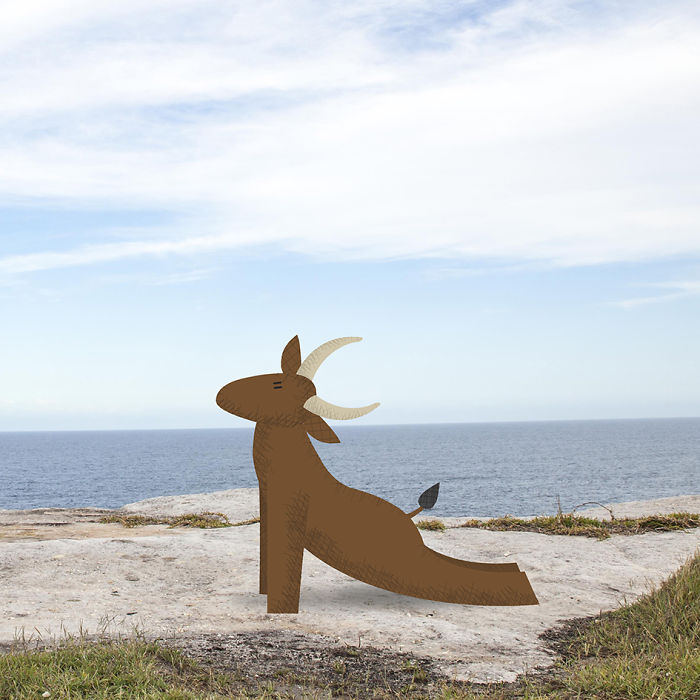 We Illustrate Cute Animals Doing Yoga To Inspire Children And Adults