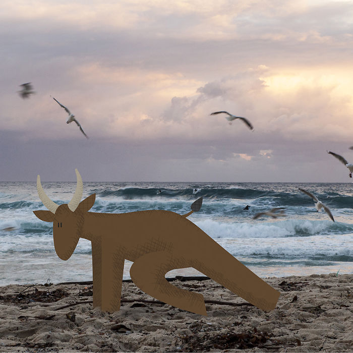 We Illustrate Cute Animals Doing Yoga To Inspire Children And Adults We Illustrate Cute Animals Doing Yoga To Inspire Children And Adults