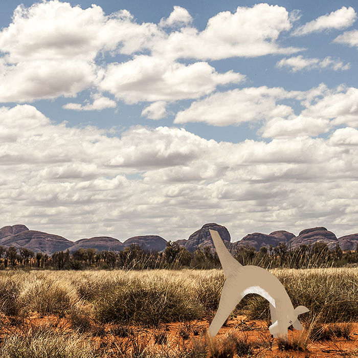 We Illustrate Cute Animals Doing Yoga To Inspire Children And Adults
