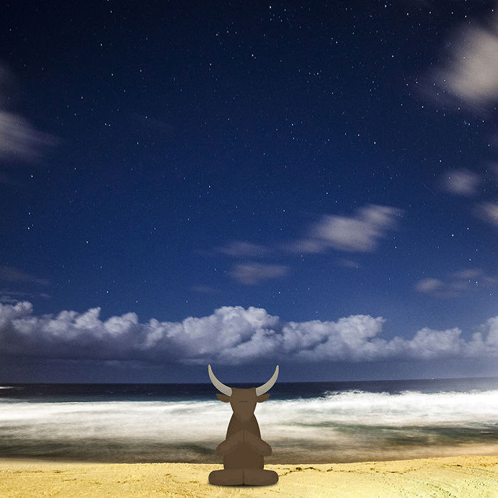 We Illustrate Cute Animals Doing Yoga To Inspire Children And Adults We Illustrate Cute Animals Doing Yoga To Inspire Children And Adults