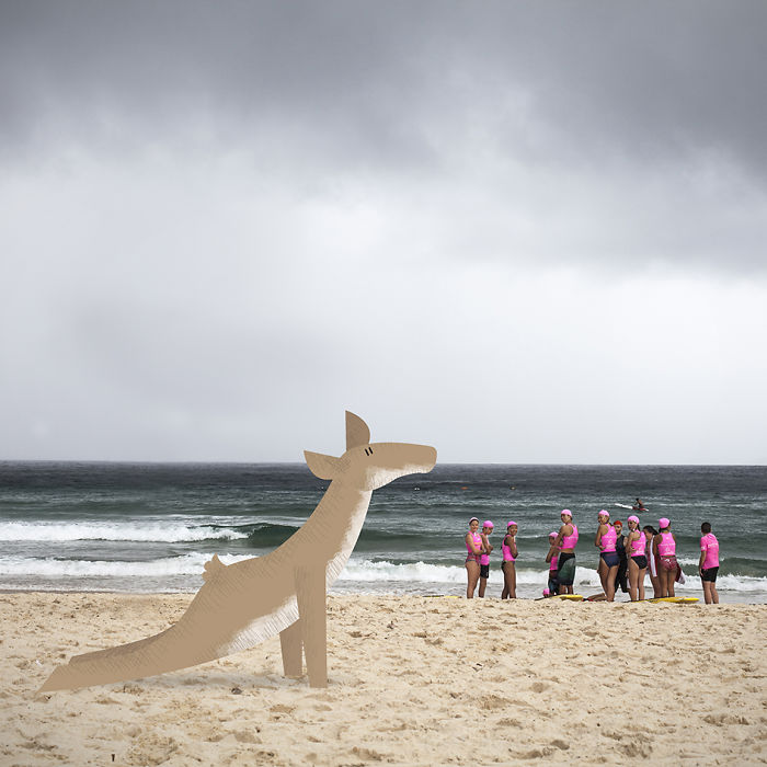 We Illustrate Cute Animals Doing Yoga To Inspire Children And Adults