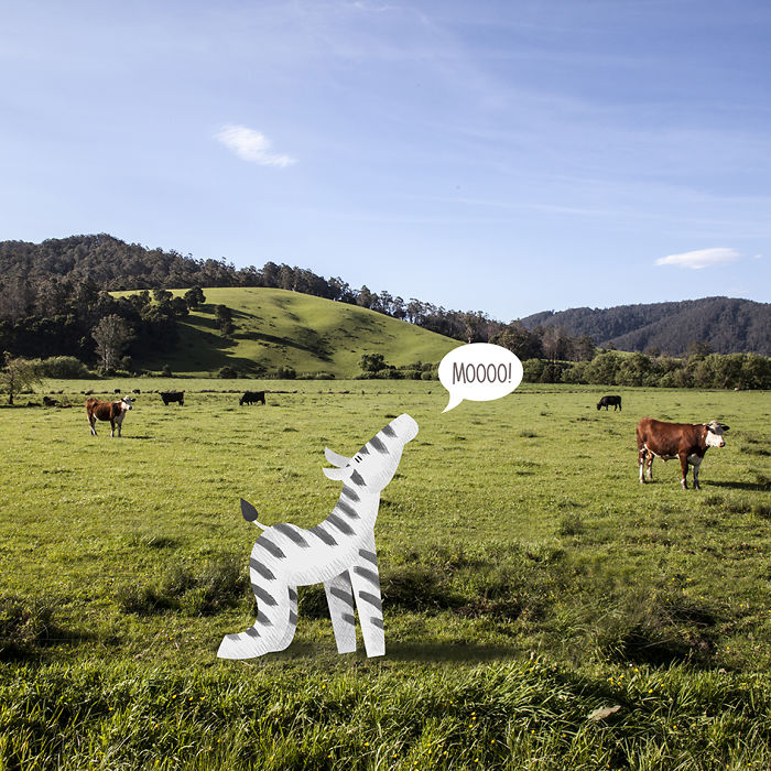 We Illustrate Cute Animals Doing Yoga To Inspire Children And Adults We Illustrate Cute Animals Doing Yoga To Inspire Children And Adults