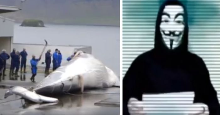 Iceland Kills Whales, So Anonymous Hackers Shut Down Its Government’s Websites