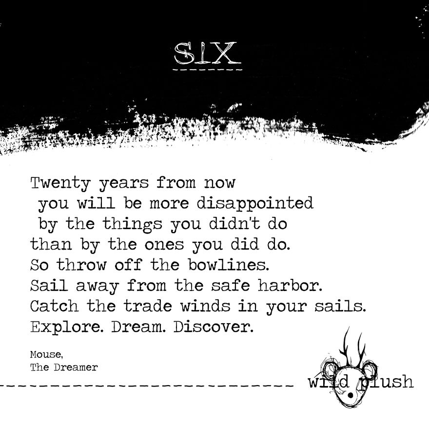 Wild Plush - A Metamorphosis