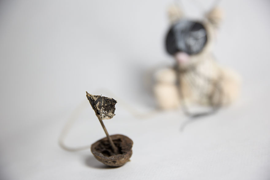 Wild Plush - A Metamorphosis