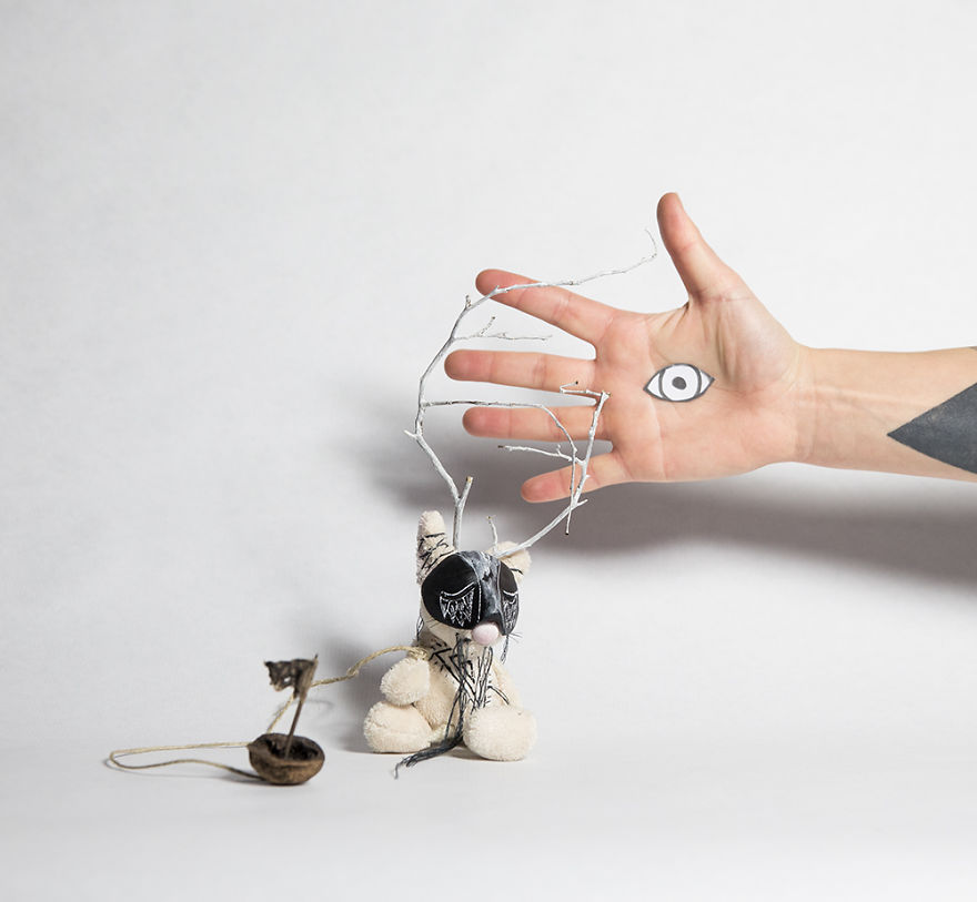 Wild Plush - A Metamorphosis