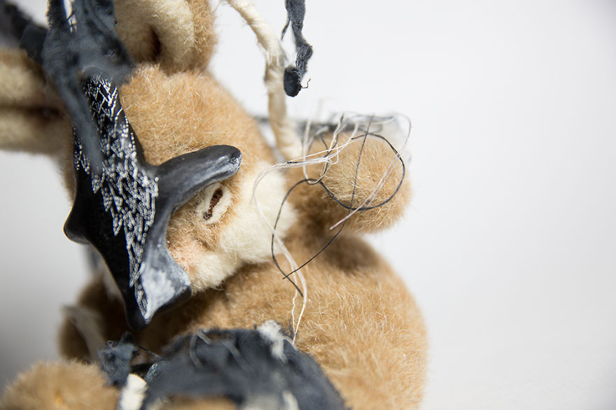 Wild Plush - A Metamorphosis