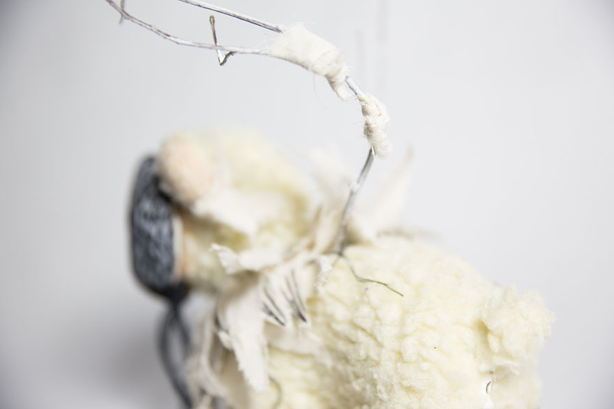 Wild Plush - A Metamorphosis