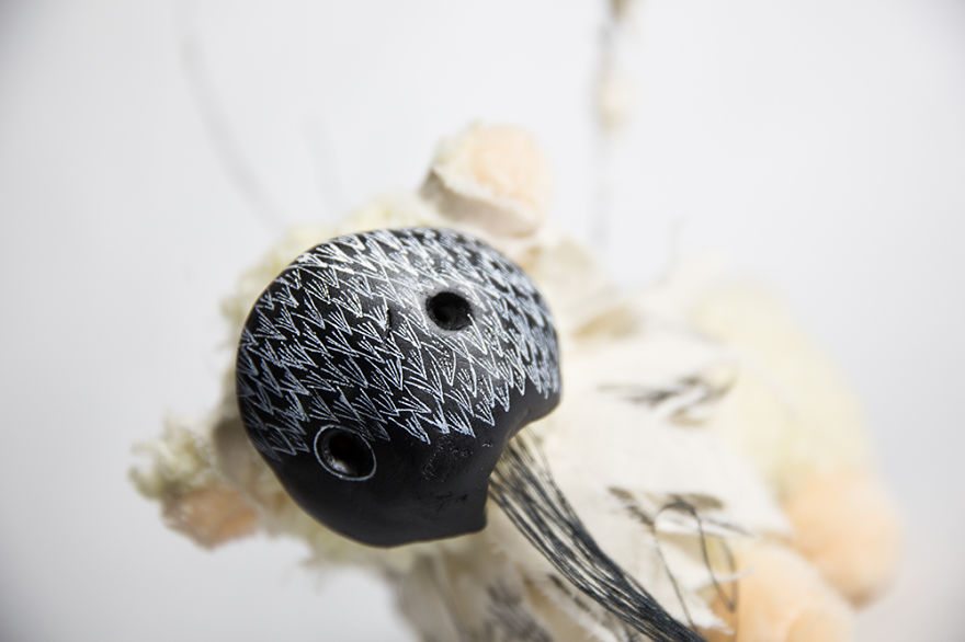 Wild Plush - A Metamorphosis