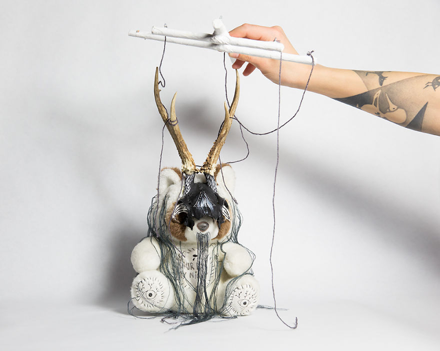 Wild Plush - A Metamorphosis