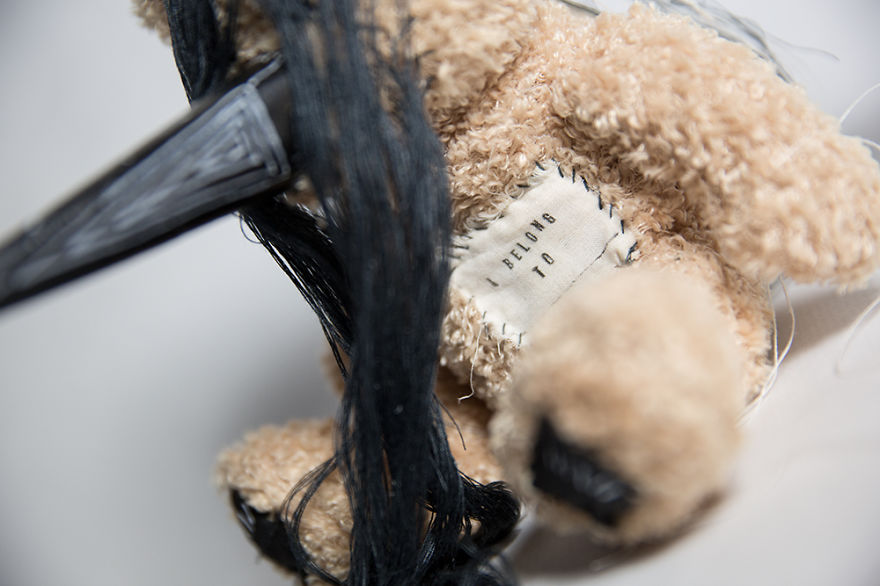 Wild Plush - A Metamorphosis