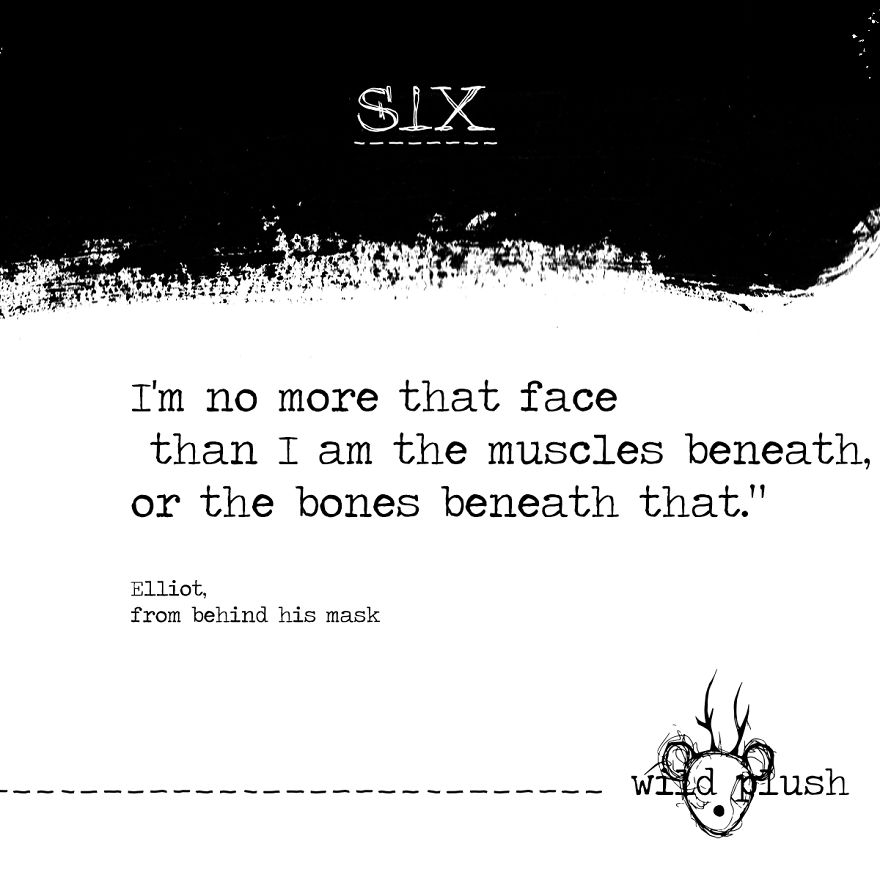 Wild Plush - A Metamorphosis