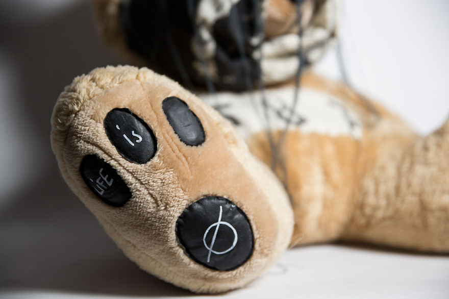 Wild Plush - A Metamorphosis