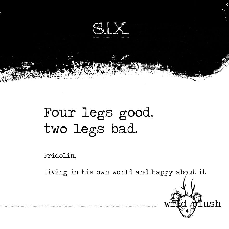 Wild Plush - A Metamorphosis Wild Plush - A Metamorphosis