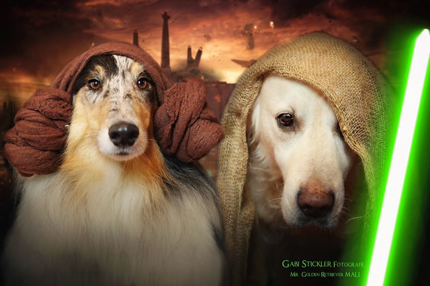 Yes, Dogs Also Have Best Friends! I Want To Show You My Golden Retriever Mali’s Friends