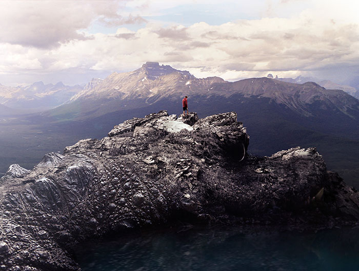 I Photograph Zoo Animals And Turn Them Into Surreal Images