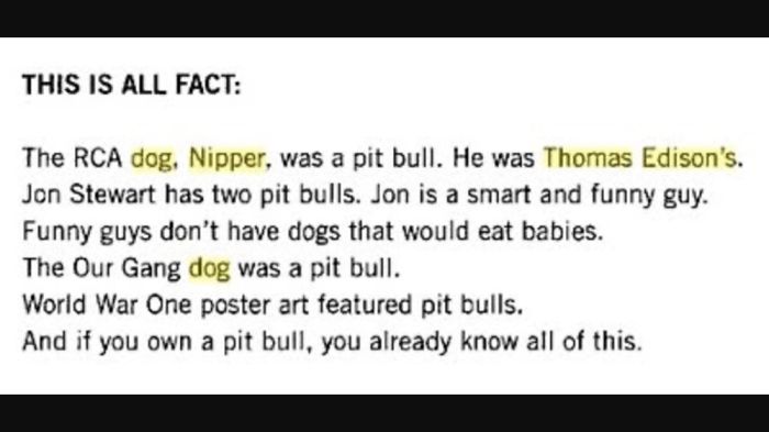 10. Facts About Pitbulls