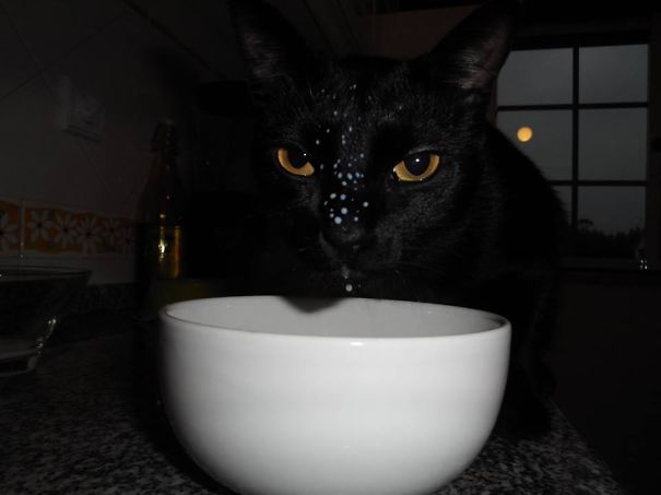 I Really Don't Know If She Drank Any Milk At All!