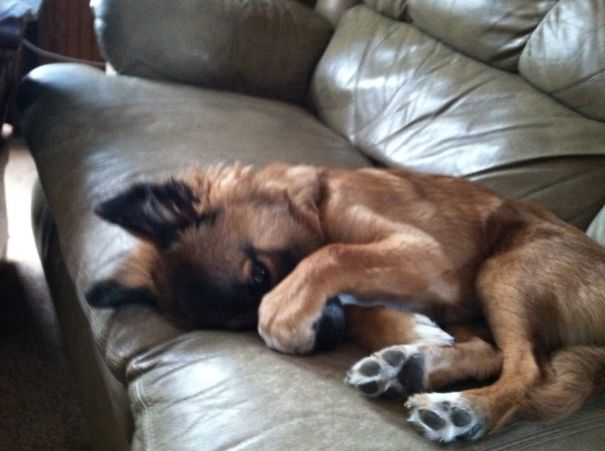 Do I Look Sleepy Ma ???