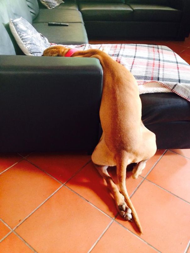 She's Flexible With Her Sleeping Arrangements...