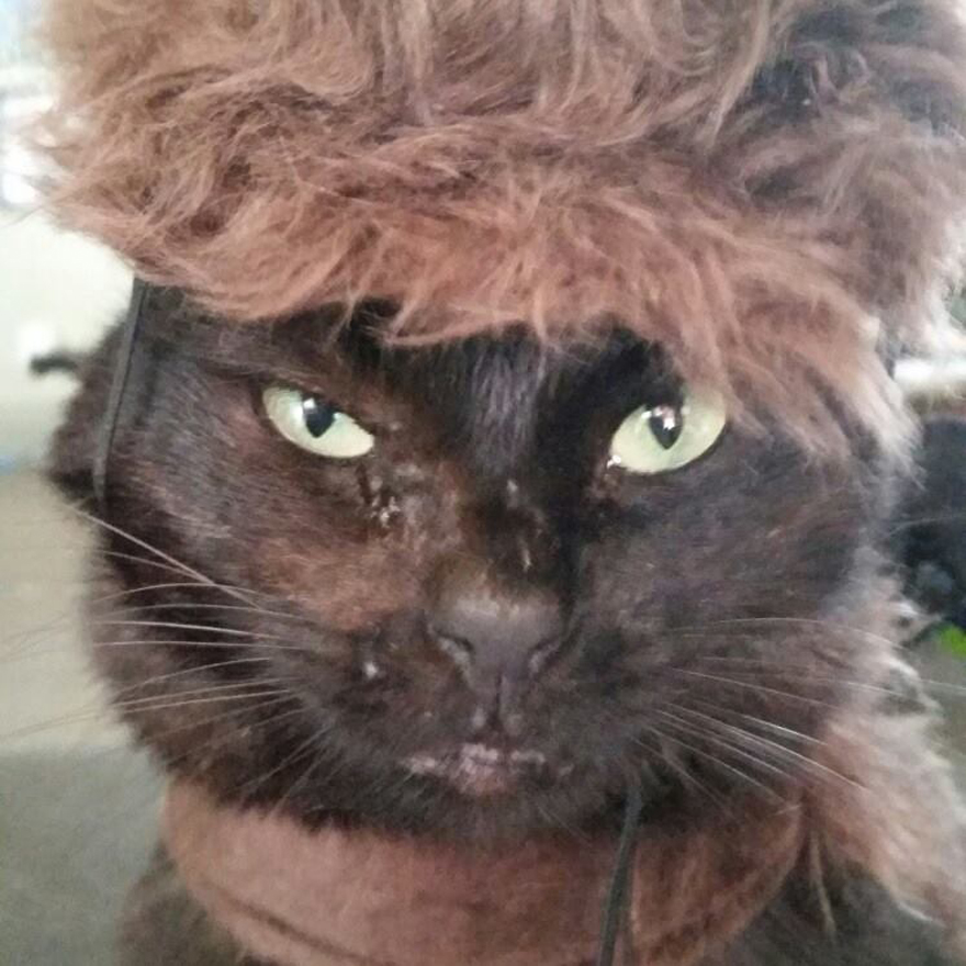 Murdoc Does His Best Trump Impression.