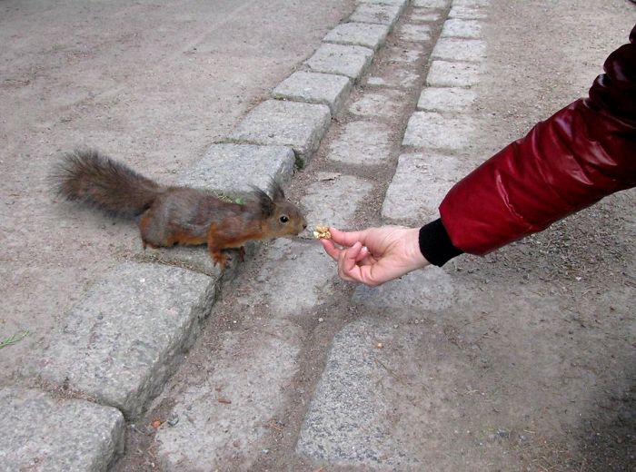 Can I Grab A Bite? (helsinki)