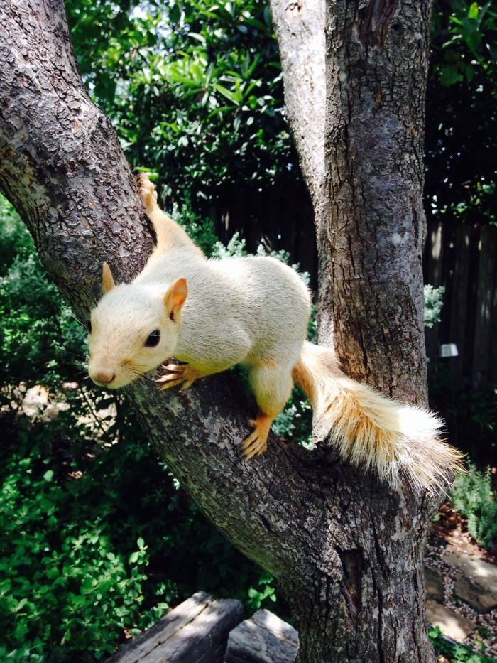 Blonds Have More Fun!