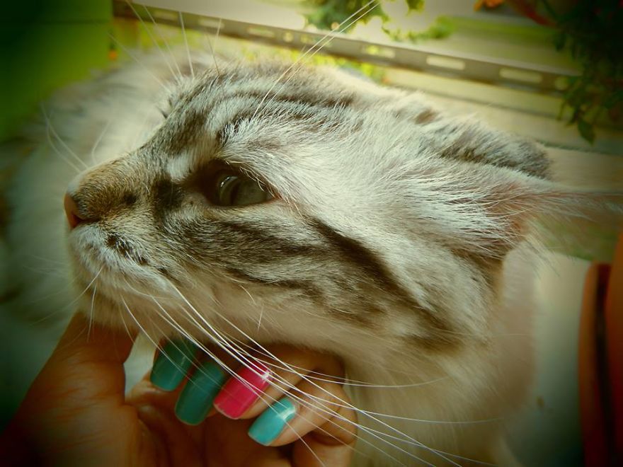 I'm Too Shy For The Camera!