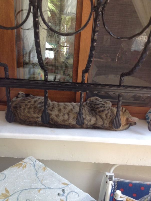 Perfect Place To Sleep In Summer