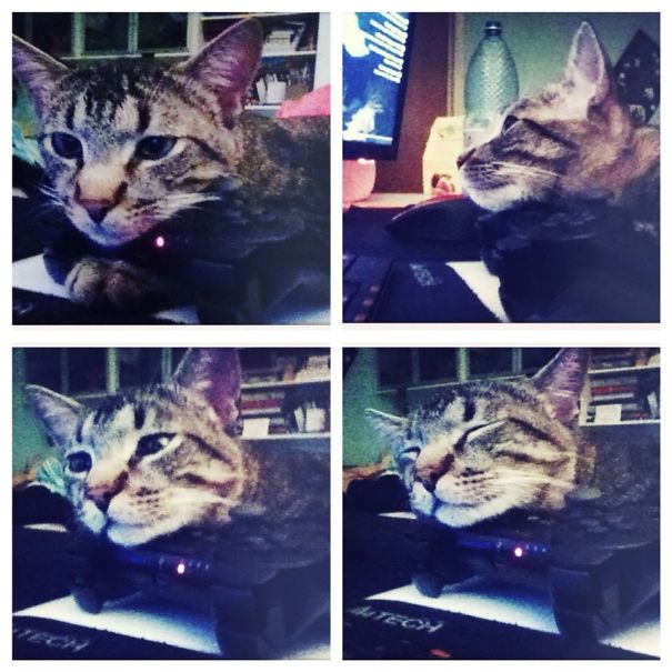 Oh U Wanted To Play? No.