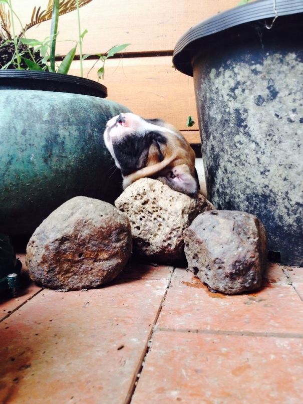 Sleeping Between A Rock And A Hard Place ;)