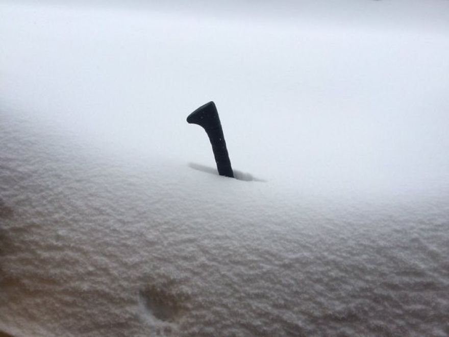 This Is What Was Outside My Front Door This Morning. For Scale, That's The Top Of A 34" Hurley