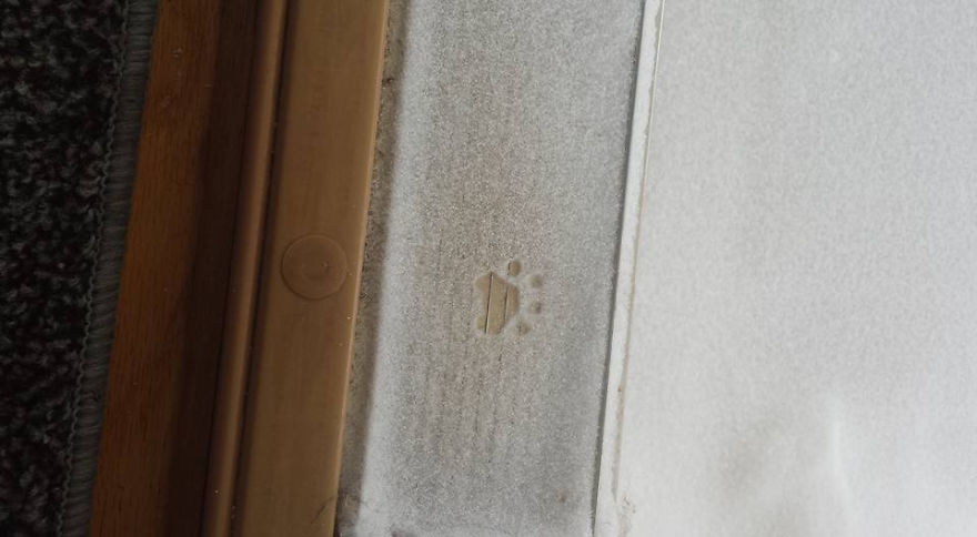 My Cat Begged To Go Outside For Two Damn Hours