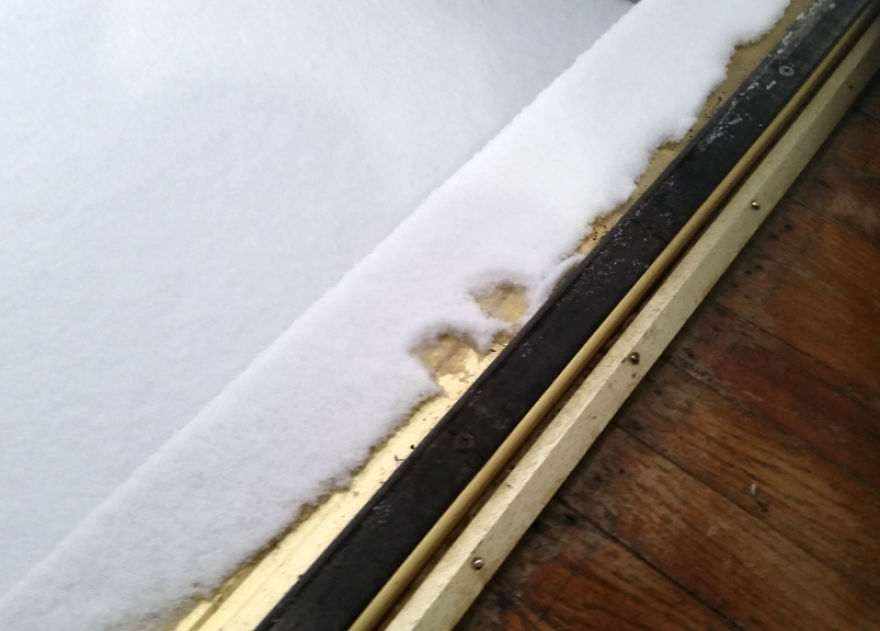 My Cat Vs. Blizzard2016